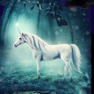 Meet your Posher, Mari